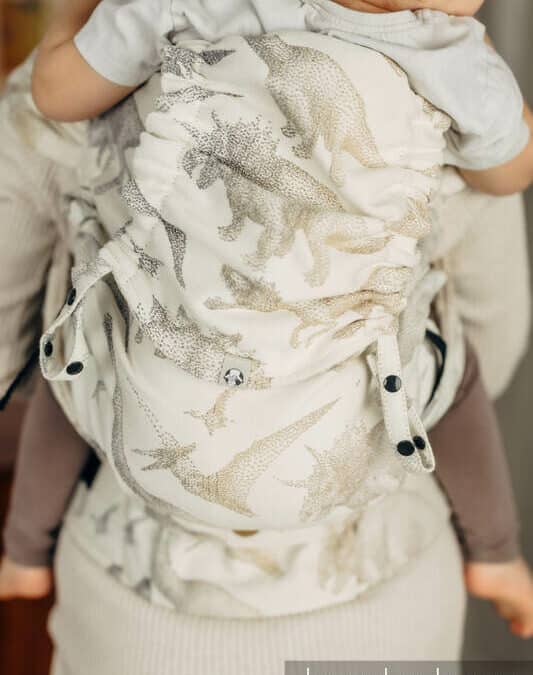 Porte-Bébé Physiologique LennyPreschool Ice Desert – LENNYLAMB